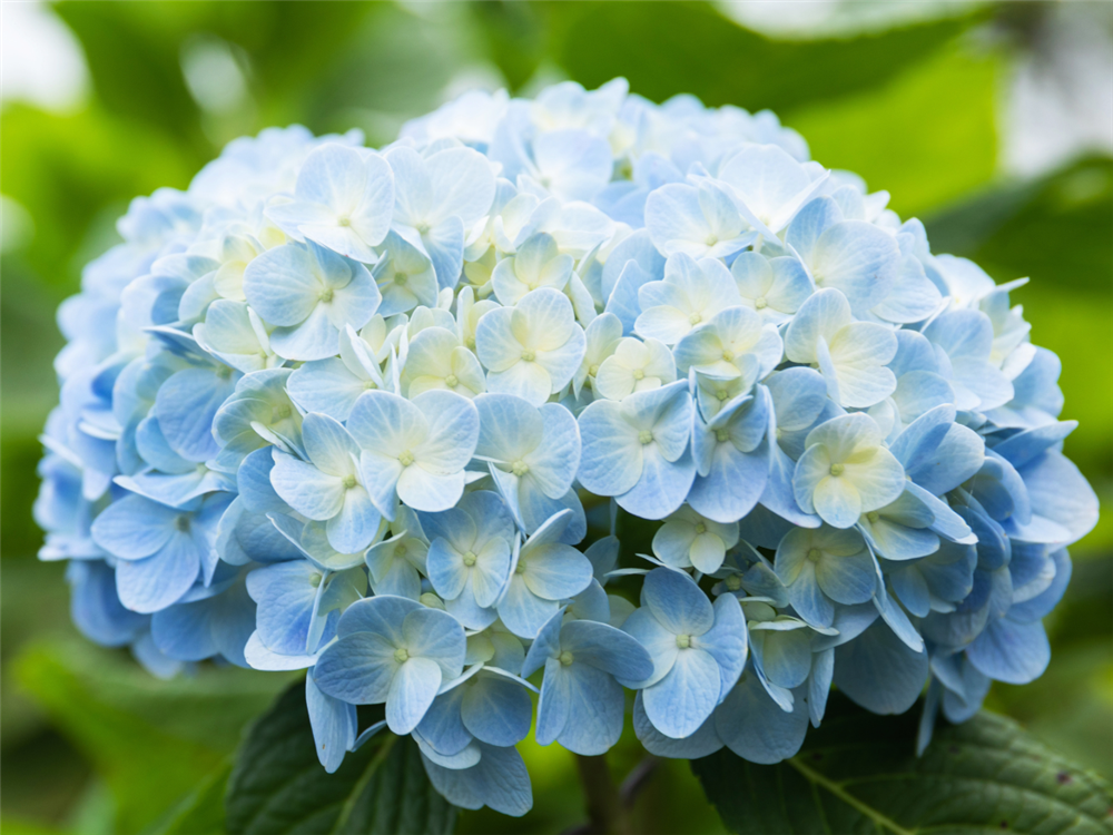 Blog post image